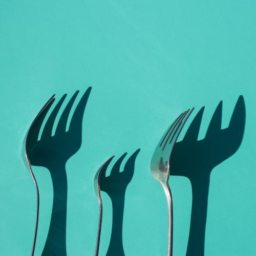 polish stainless steel cutlery